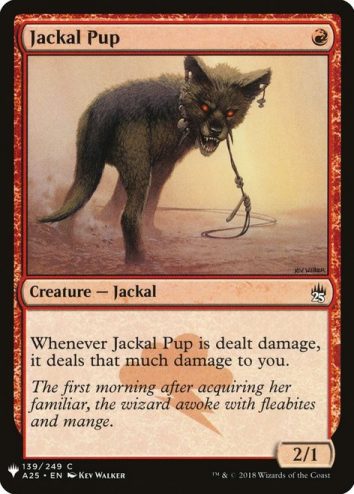 Jackal Pup- Mystery Booster