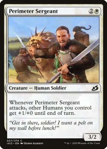 Perimeter Sergeant