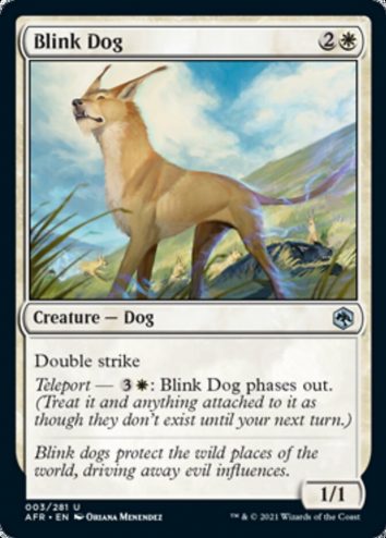 Blink Dog(F)