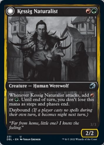 Kessig Naturalist // Lord of the Ulvenwald(F)