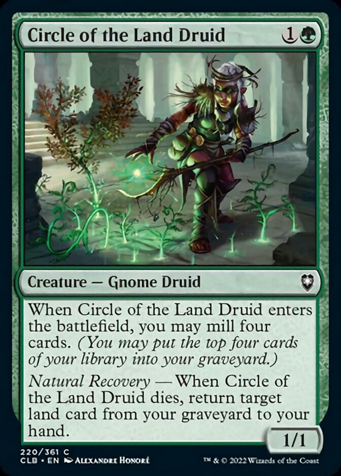 Circle of the Land Druid(F)