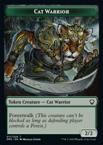 Cat Warrior