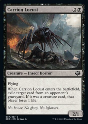 Carrion Locust(F)