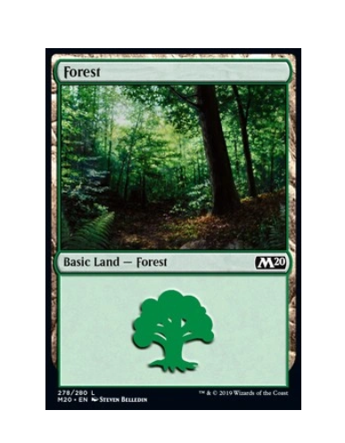 Zestaw Basic Land Forest